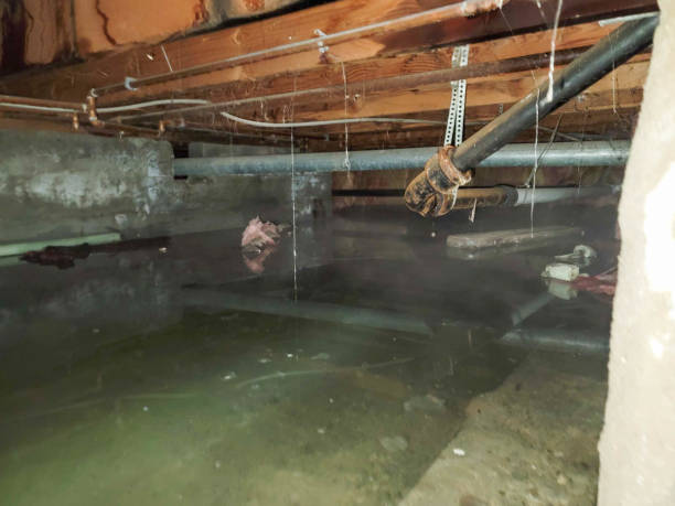 Best Water damage restoration insurance claims  in Youngwood, PA