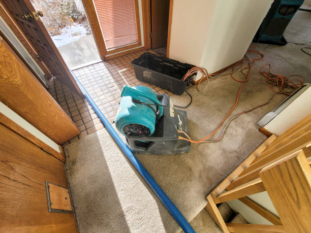 Best Water damage cleanup near me  in Youngwood, PA