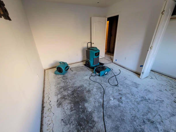 Best Water damage repair service  in Youngwood, PA