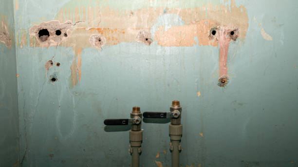  Youngwood, PA Water damage restoration Pros
