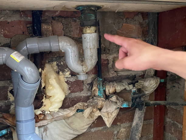 Best Water damage contractors near me  in Youngwood, PA