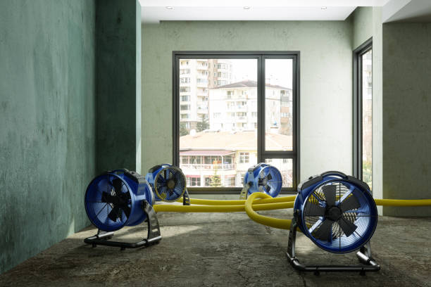 Best Residential water damage restoration  in Youngwood, PA
