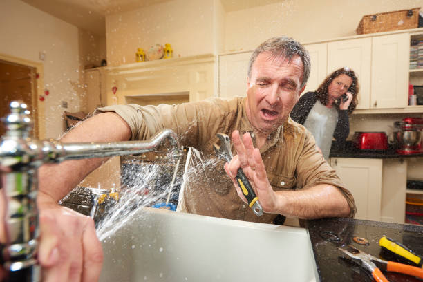 Best Sewage cleanup and water damage restoration  in Youngwood, PA